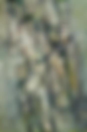 Ohne Titel (preview)