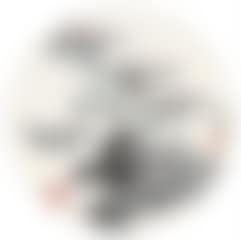 Plum blossom (preview)