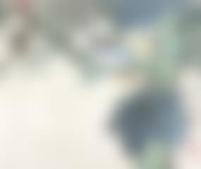 Birds (preview)