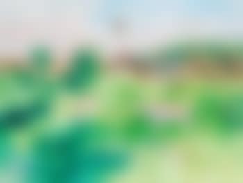Birds in a meadow (preview)