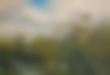 Sträckande änder (preview)