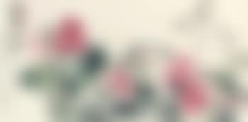 Flowers (preview)