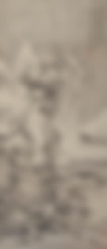 Landscape (preview)