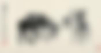 Donkeys (preview)