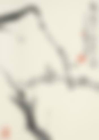 Plum (preview)