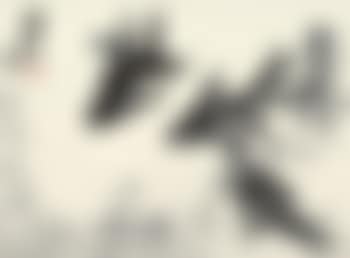 Fishes (preview)
