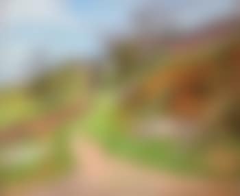 Paysage de campagne (preview)