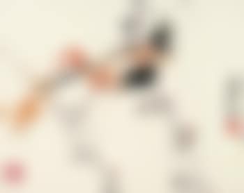 Bird (preview)