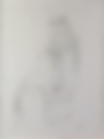Nu assis (preview)