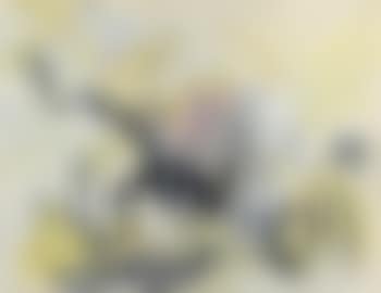 Composition (preview)