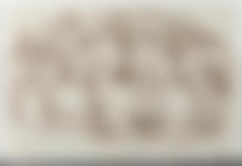 Champs d'oliviers (preview)