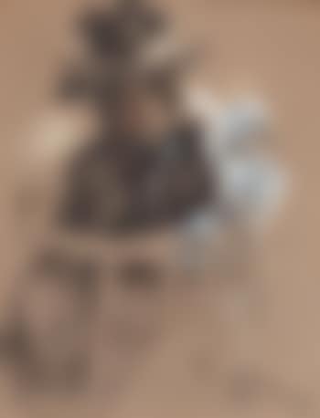 Seated lady with elegant hat (preview)