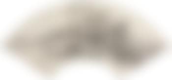 Landscape (preview)