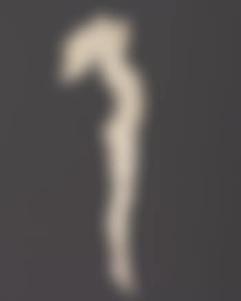 Ecstasy, Edison Mazda Lamps calendar preliminary cover (preview)