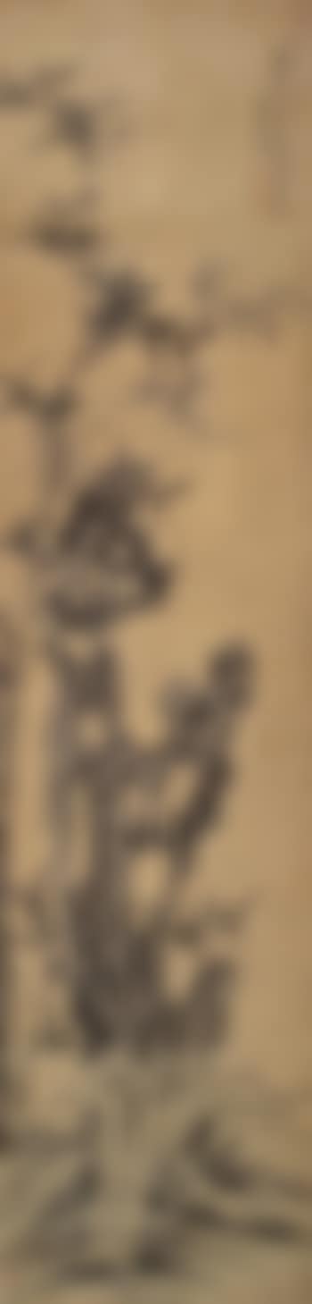 Bamboo And Rock (preview)
