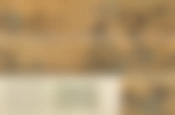 Landscape (preview)