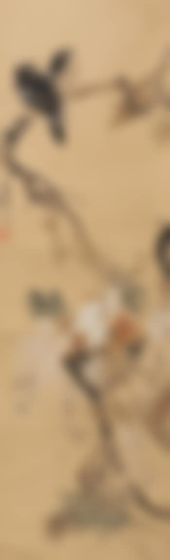 Mynah Bird And Wisteria (preview)