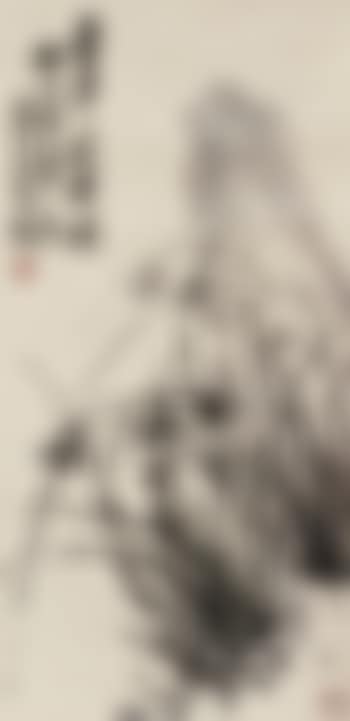 Orchid And Rock (preview)