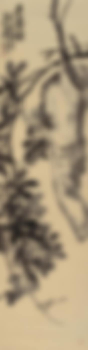 Lychee (preview)