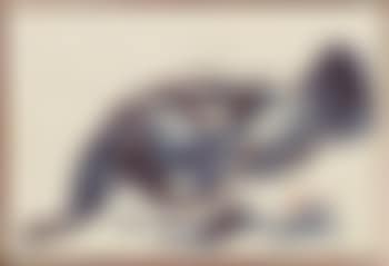 Reclining nude (preview)