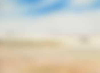 Wimmera Landscape with Farmer and Cockatoos (preview)