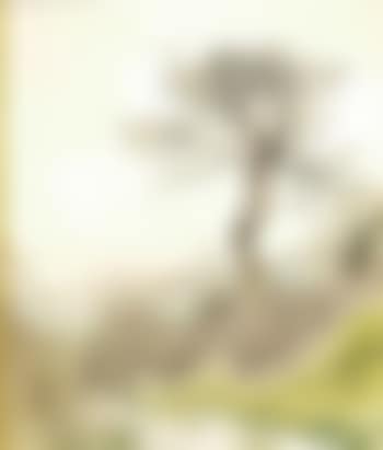 A wooded landscape (preview)