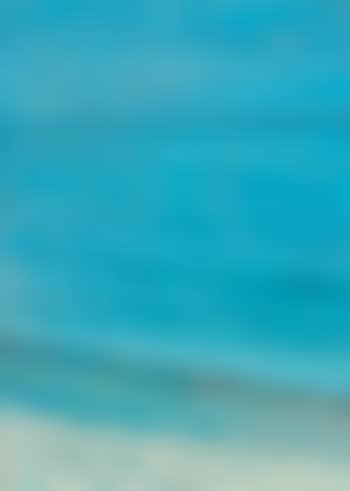 with two terns (preview)