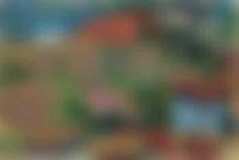 View from Anticoli (preview)