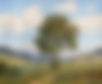 Bernauer Landschaft (preview)