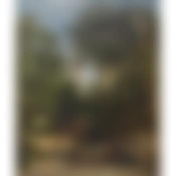 The village church (preview)