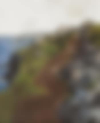 Coastal Scene, Anglesey (preview)
