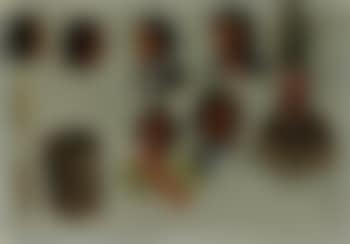 Seven Indian Portraits (preview)