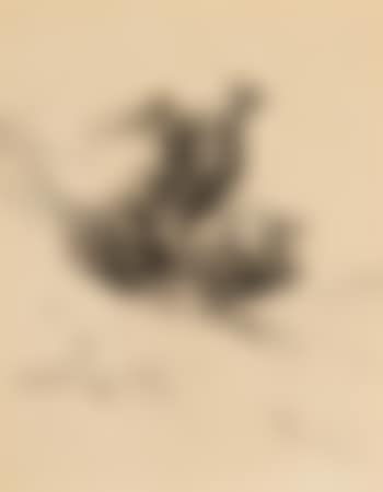 Horse and Cowboy Tumbling Downhill (preview)