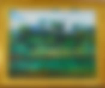 Myakka/A Florida View (preview)