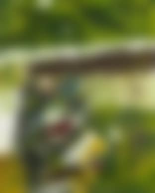 Untitled (preview)