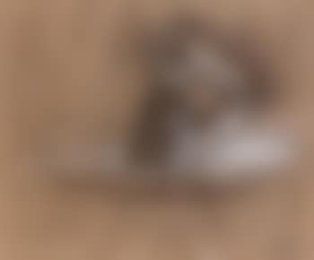 Animal fantastique (preview)