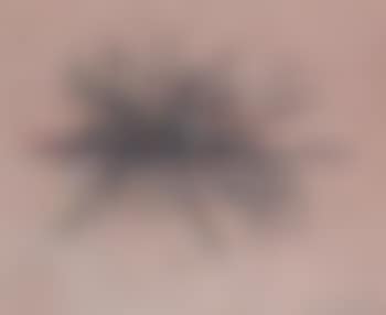 Composition (preview)