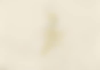 Ohne Titel (preview)