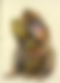 Mandrille à la statue africaine (preview)