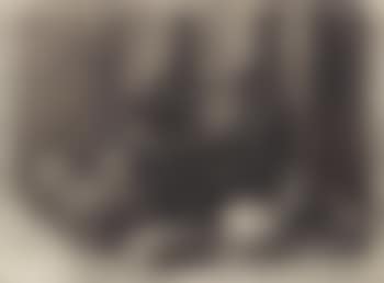 Nature morte (preview)