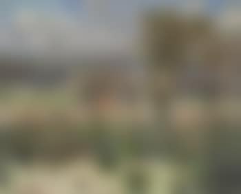 The Carse Of Gowrie (preview)
