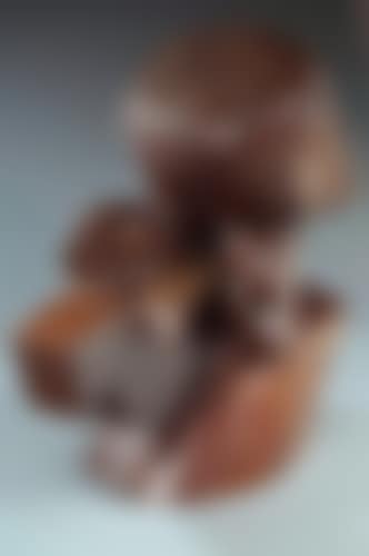 Bouche carnivore (preview)
