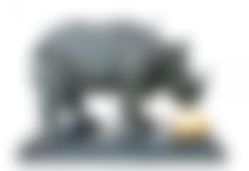 Rhinocéros habillé en dentelles (preview)