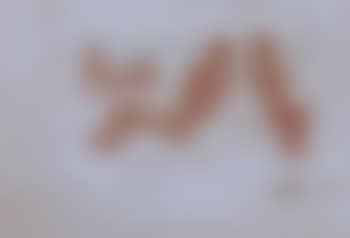 Figure sedute (preview)