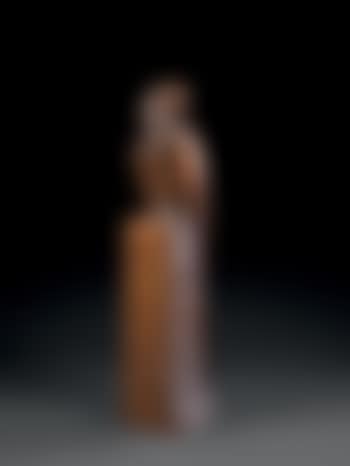 ARA (preview)