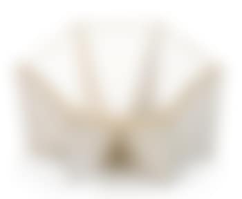 Arachnoid Chair (preview)