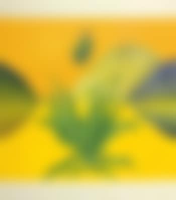 Untitled (Lily by my Window) (preview)