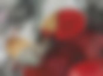 Untitled (preview)