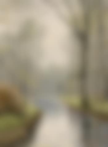 Motiv aus dem Spreewald (preview)