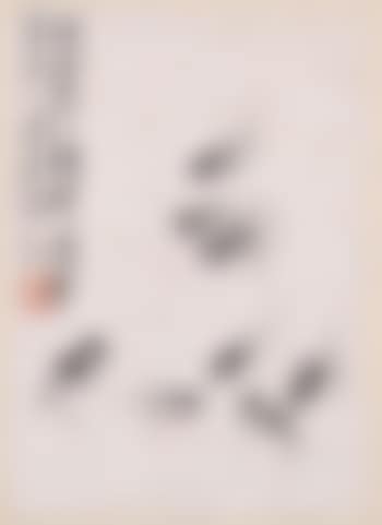 Crickets (preview)